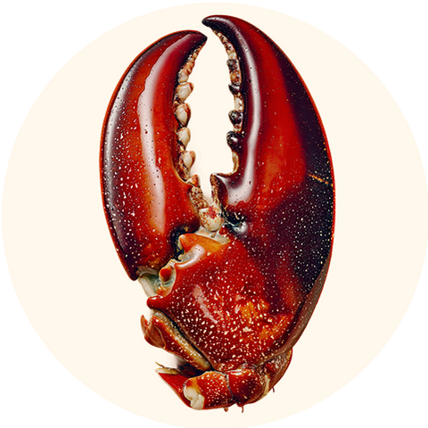 Glucosamine HCI (Shellfish)