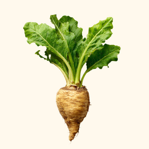 Inulin