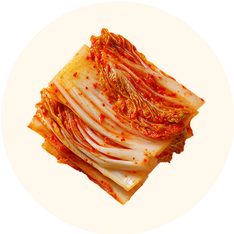 Lactobacillus Brevis