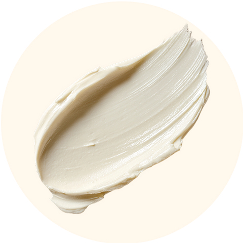 Lactobacillus Delbrueckii