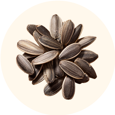 Thiamine HCI (Vitamin B1)