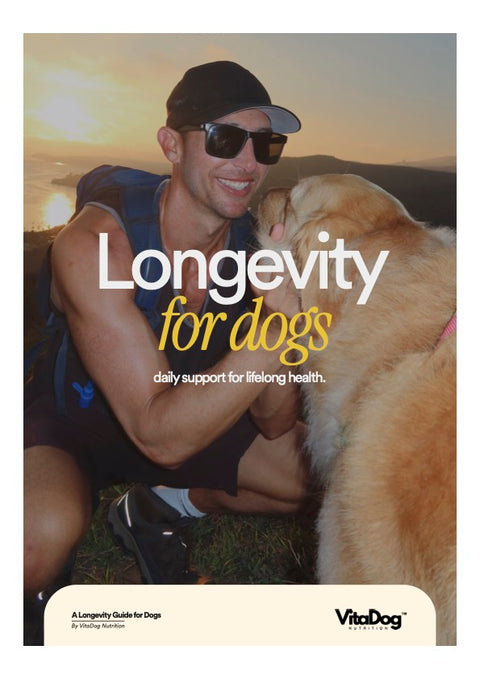 Longevity Magazine