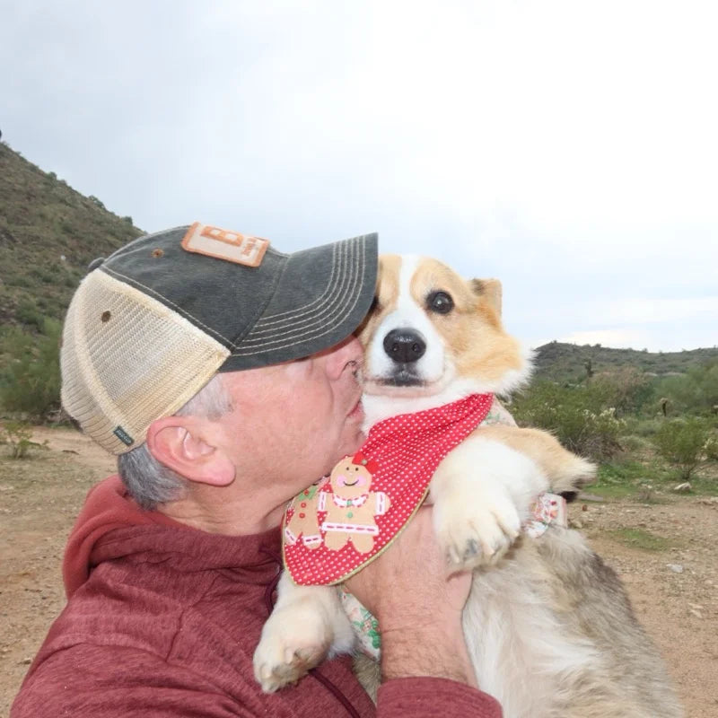Owner hugging their dog