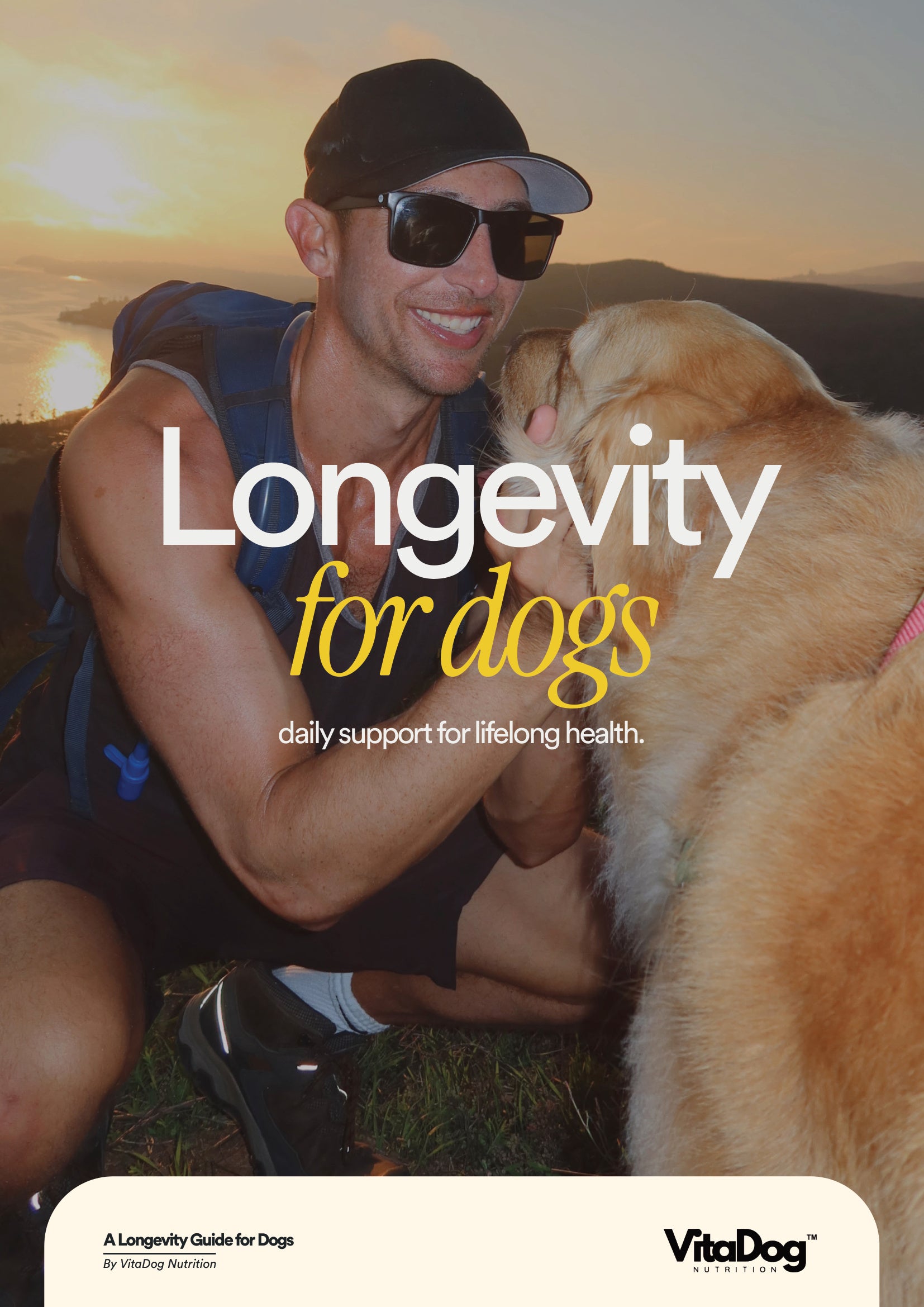 The VitaDog Longevity Guide for Dogs