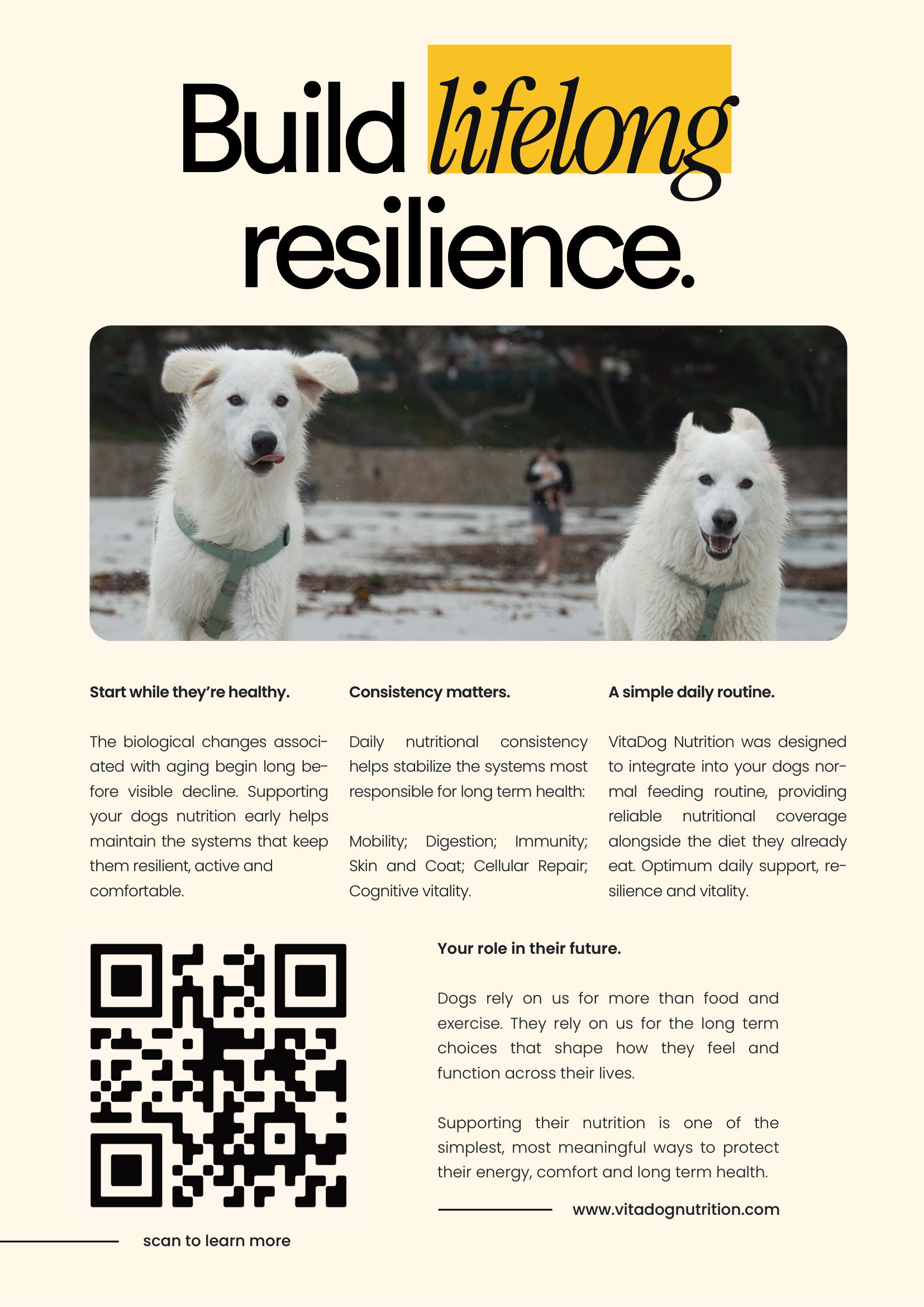 Build resilience