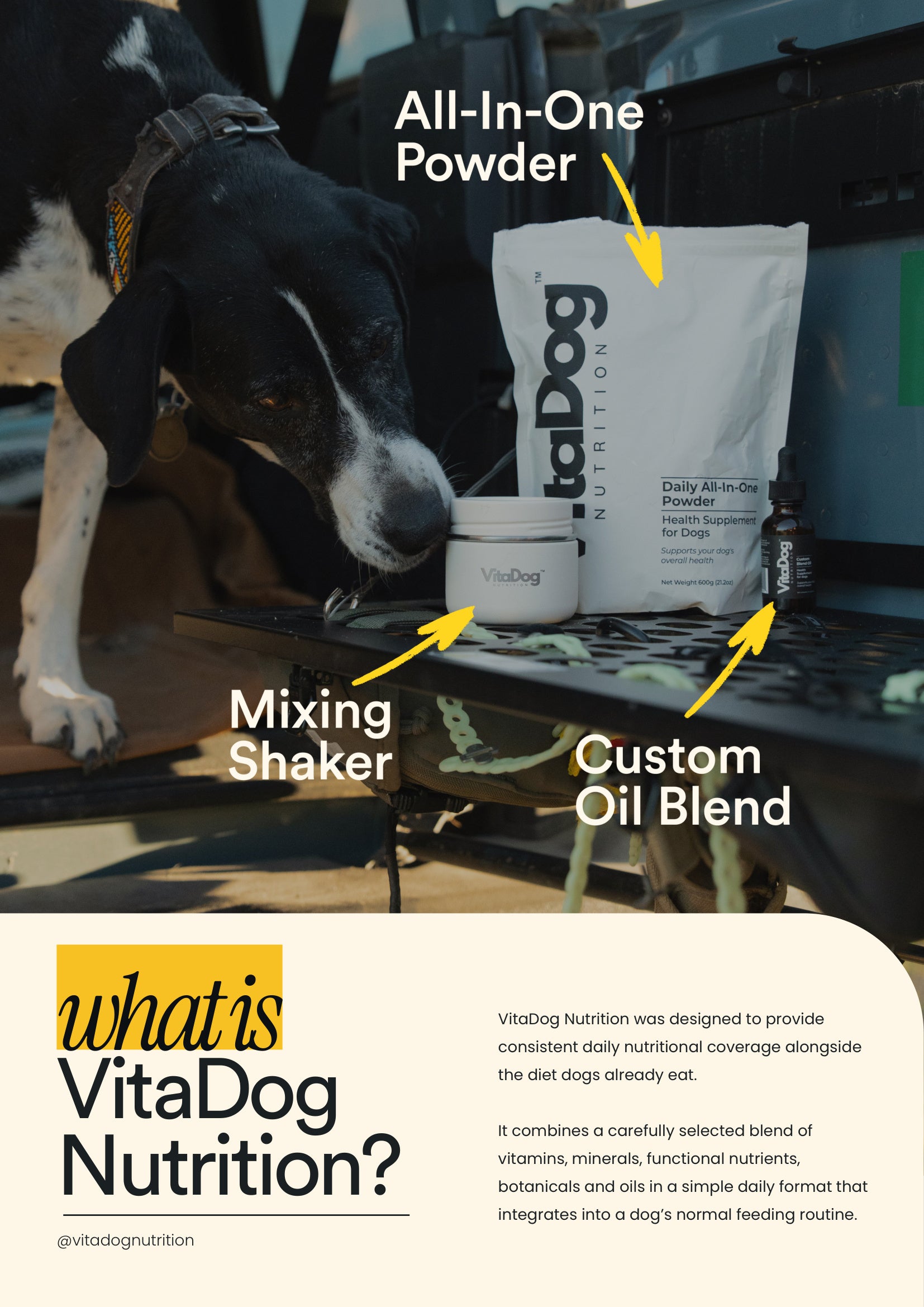 What is VitaDog Nutrition